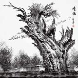情缘1999 年 68cm×68cm.jpg